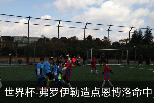 世界杯-弗罗伊勒造点恩博洛命中 瑞士半场暂1-0卡塔尔