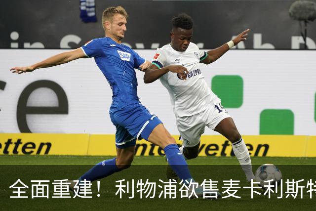 全面重建！利物浦欲售麦卡利斯特，今夏将签2前锋，巴黎飞翼在列